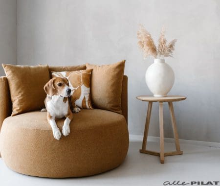 Pinterest image 5 Alle Pilat